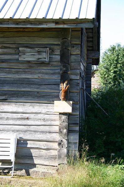 Kesapuuhia_007.jpg