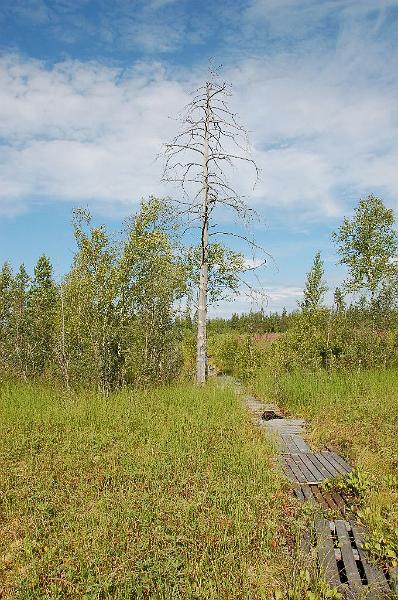 Kesatunnelmia2_008.jpg