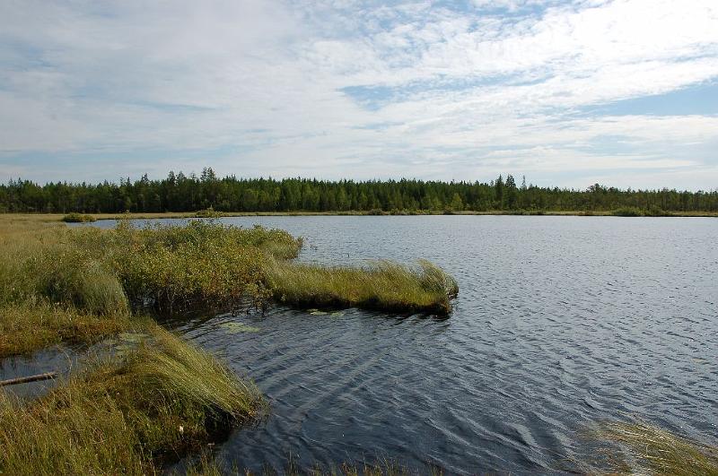Kesatunnelmia2_009.jpg