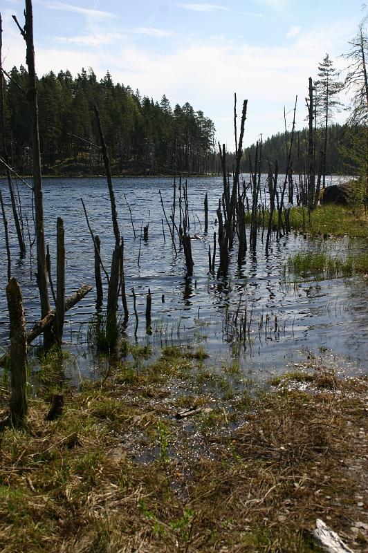 isojarven_kansallispuistossa_9.jpg