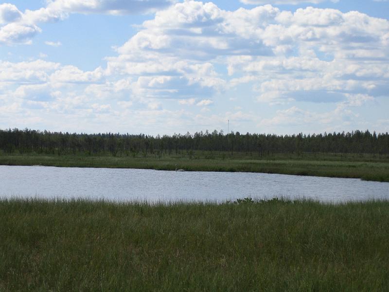 juhannus_2007_kiimingissa_3.jpg