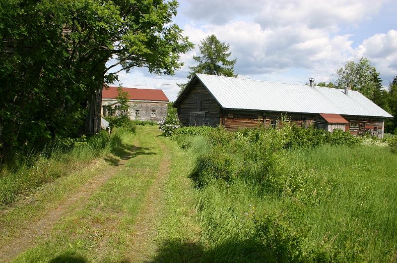 juhannus_2007_kiimingissa_5.jpg