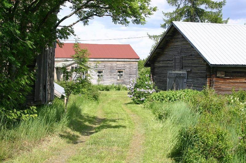 juhannus_2007_kiimingissa_6.jpg