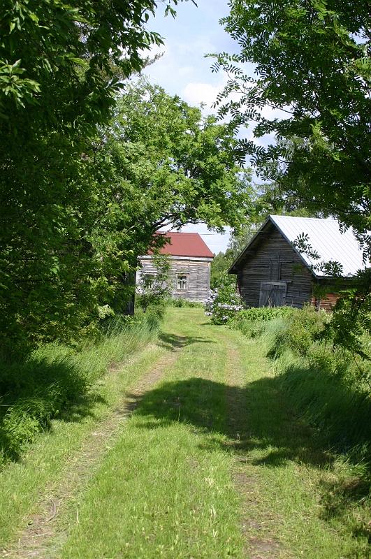 juhannus_2007_kiimingissa_7.jpg