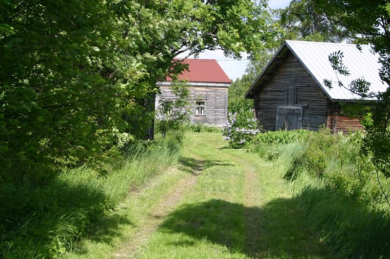 juhannus_2007_kiimingissa_8.jpg